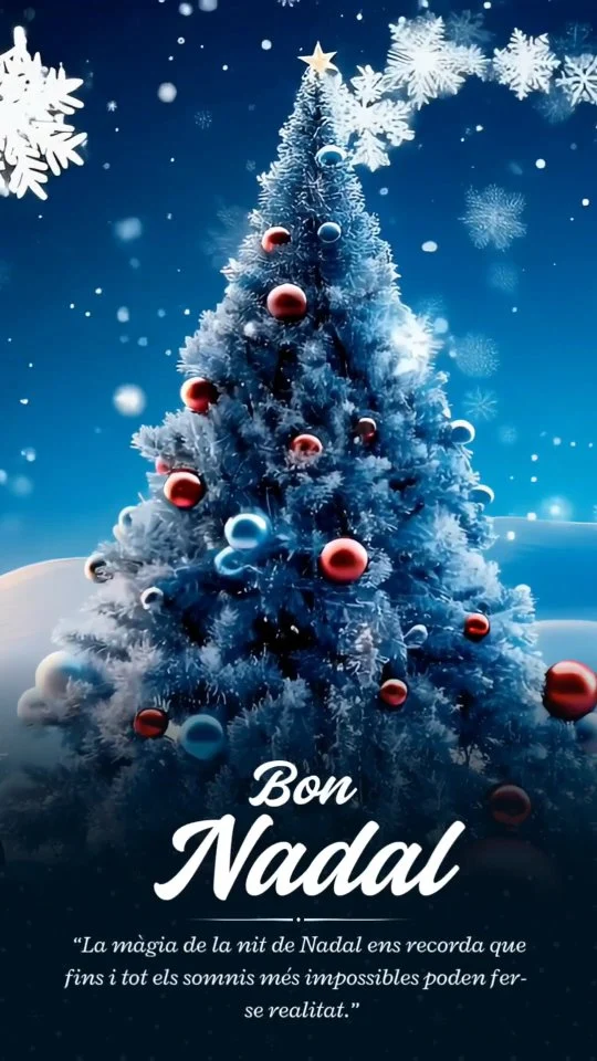 “La màgia de la nit de Nadal ens recorda que fins i tot els somnis més impossibles poden fer-se realitat"

#nadal #nitdenadal🎄 #illusio